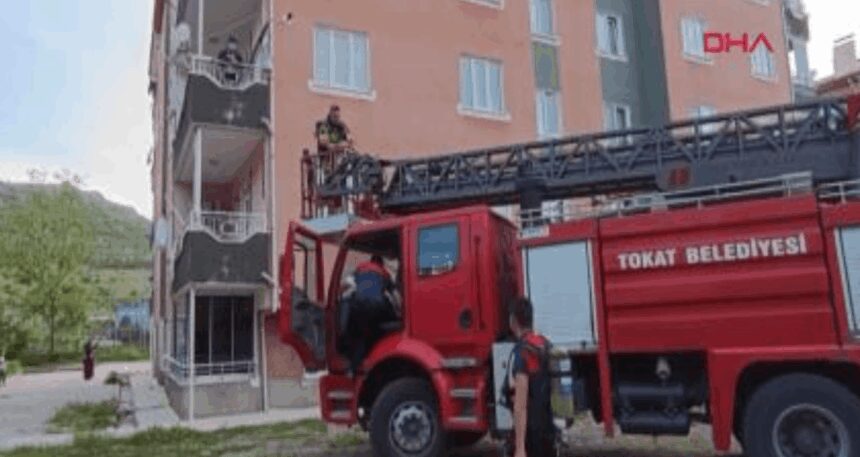 Çatıdaki fareleri kaçırmak için bütün apartmanı zehirledi