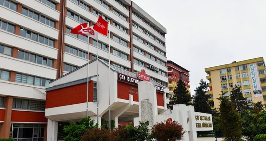 ÇAYKUR’un mevsimlik işçi alımı için 28 bin başvuru