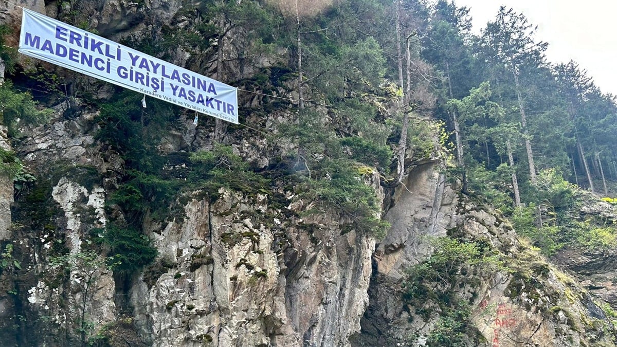 Cennete siyanür