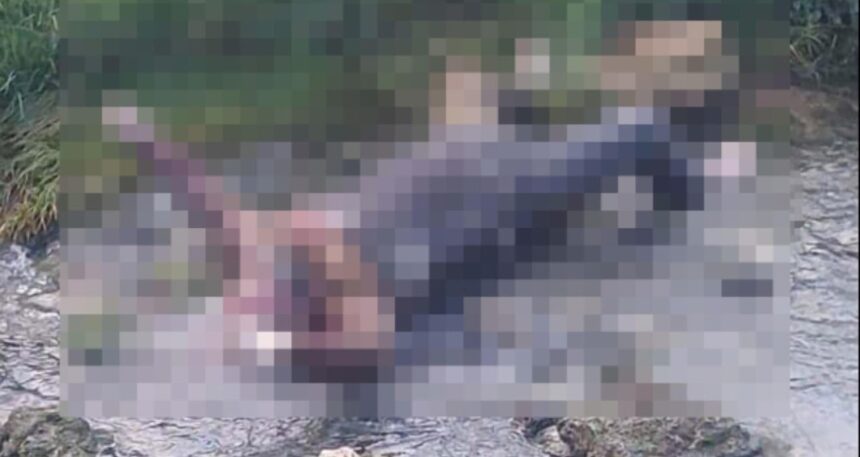 Cezaevinden izinli çıkmıştı cesedi derede bulundu!