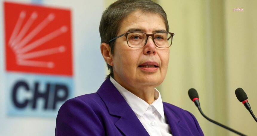 CHP’li Zeliha Aksaz Şahbaz: ‘Toplumun ruhsal sağlığı ağır bir çöküntü içerisindedir’