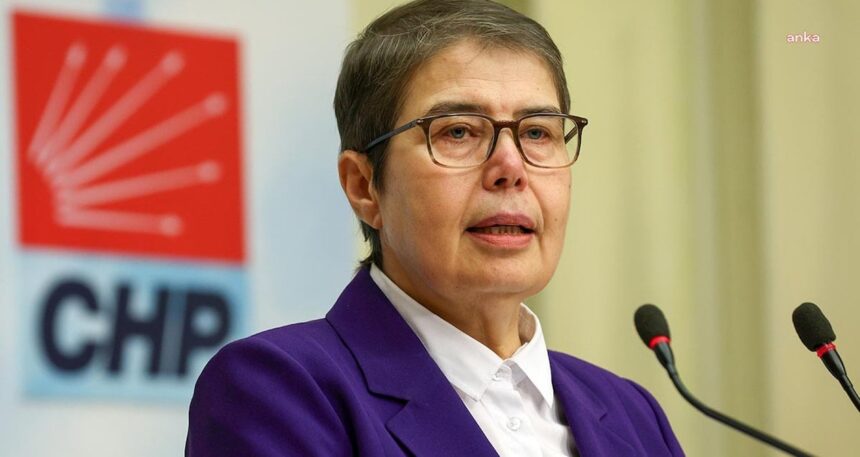 CHP’li Zeliha Aksaz Şahbaz: Yetersiz istihdam, hemşirelerin iş yükünü katlanamaz hale getirmiştir