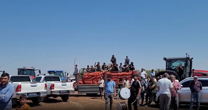 Çiftçiler ürünlerini dökerek iktidarı protesto etti