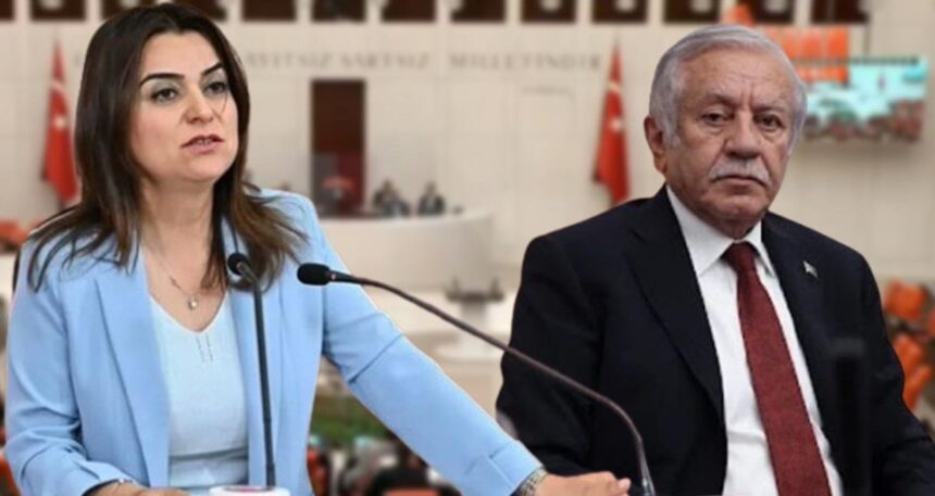 DEM’li Gülistan Koçyiğit Kürtçe konuşmaya başladı: MHP’li Celal Adan mikrofonu kapattı