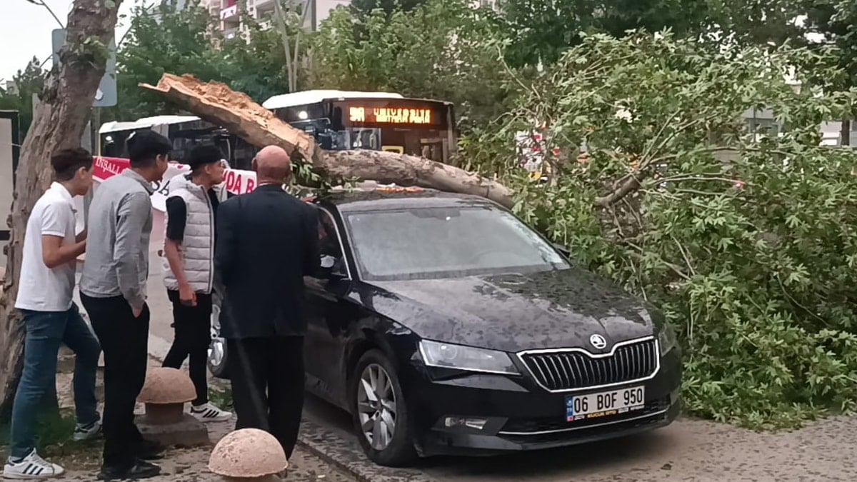 Diyarbakır ve Batman’da fırtına etkili oldu