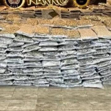 Diyarbakır’da dev uyuşturucu operasyonu: Milyonlarca kök uyuşturucu ele geçirildi
