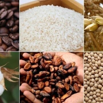 Emtia piyasalarında Fed, Çin ve arz endişesi
