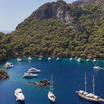 Göcek’te kaplumbağalar için müzik yasağı!