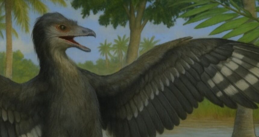 Güvercin büyüklüğündeki dinozorun sırrı çözülüyor