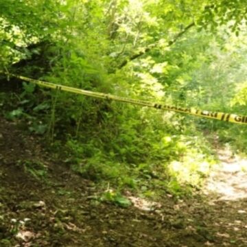 Kayıp olarak aranıyordu: Korkunç gerçek ortaya çıktı