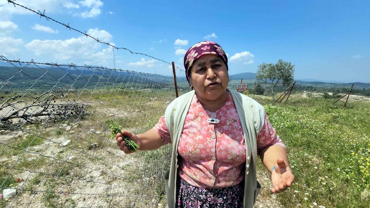 Limak Akbelen’i katlettiği ile kaldı