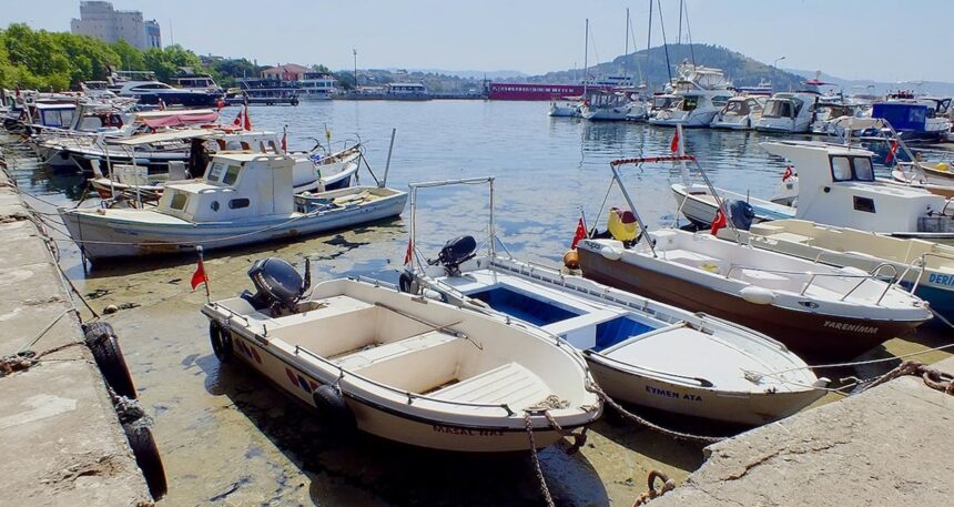 Marmara’da yine ortaya çıktı… Teknelerin etrafını sardı