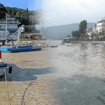 Marmara’nın turistik körfezinde müsilaj kabusu