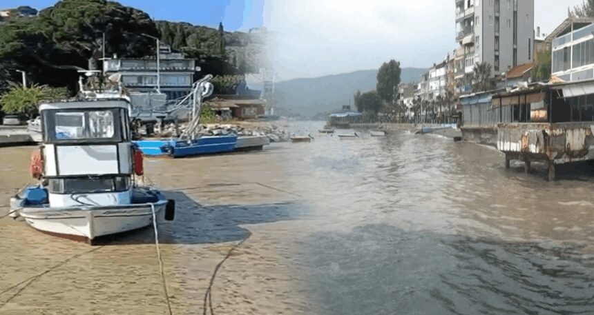 Marmara’nın turistik körfezinde müsilaj kabusu
