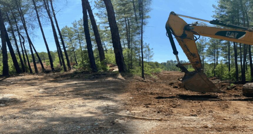 Marmaris’te mesire alanı için orman katliamına başladılar Muğlalır isyan etti