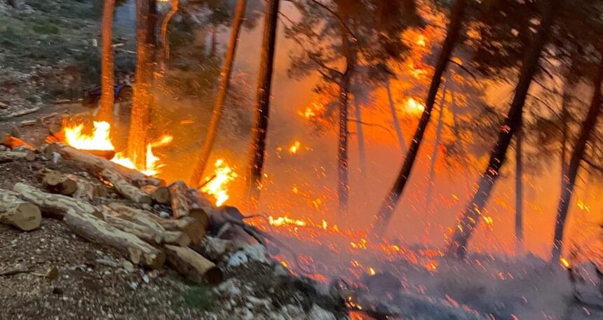 Mersin’de orman yangını: Ekipler seferber oldu