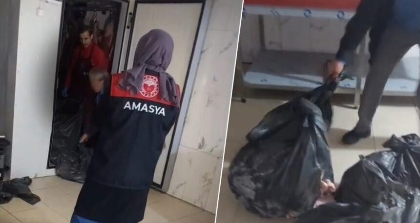 Mide bulandıran görüntüler: Milyonlarca lira ceza kesildi
