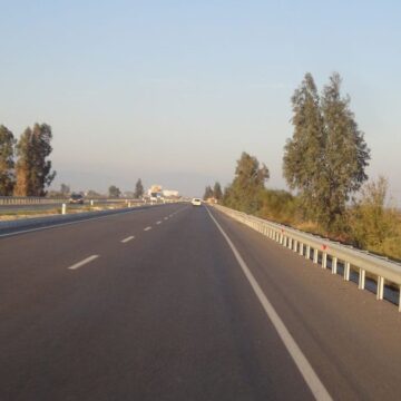 Nesli tükenmekte olan ve koruma altındaki saz kedisi trafiğe kurban gitti