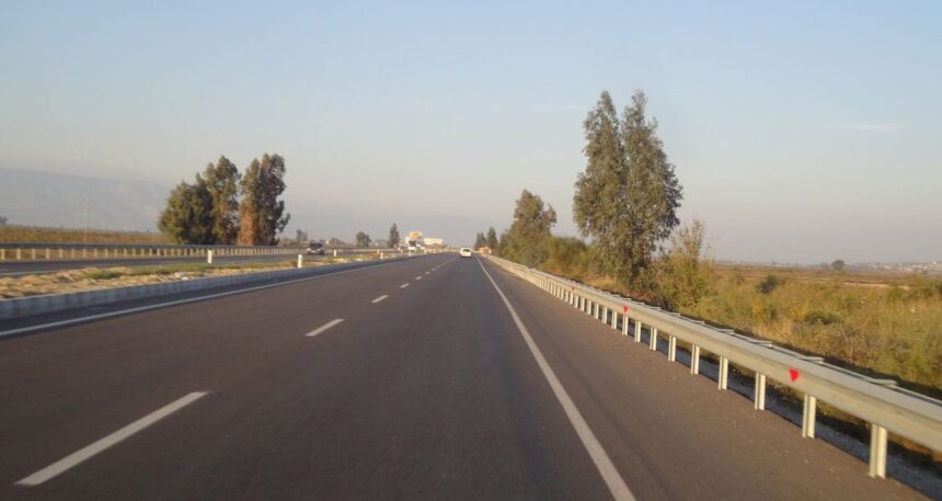 Nesli tükenmekte olan ve koruma altındaki saz kedisi trafiğe kurban gitti