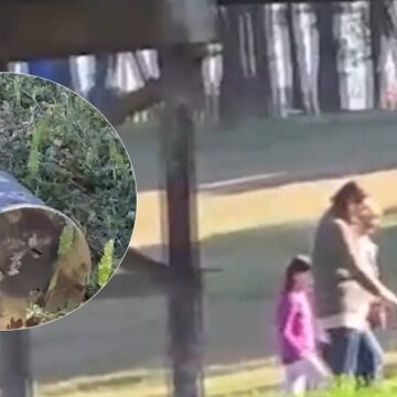 Piknik yapan 13 yaşındaki çocuk patlamamış halde buldu! Bomba imha ekibi geldi