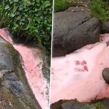 Rize’de derenin rengi kırmızıya döndü, halkı endişelendirdi