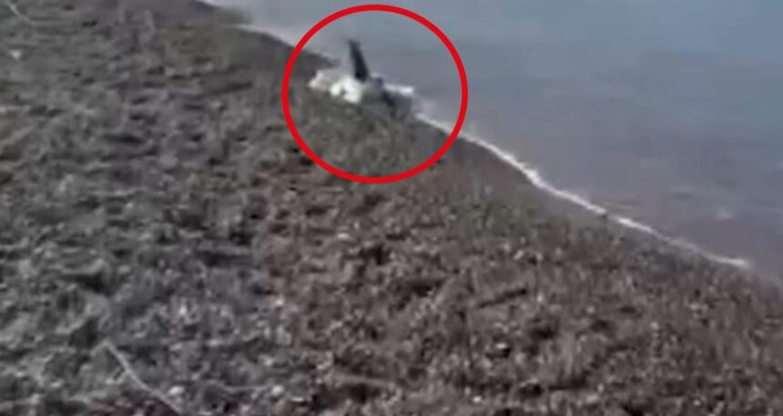 Sabah kıyıda gören vatandaşlar sahil güvenliği aradı