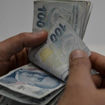 Sadece 10 gün yaşıyor: Koparmanın cezası 557 bin lira