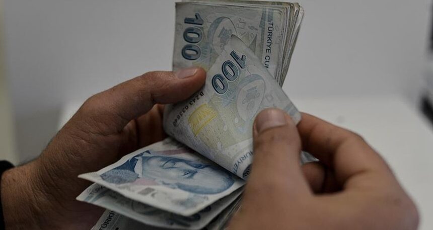 Sadece 10 gün yaşıyor: Koparmanın cezası 557 bin lira