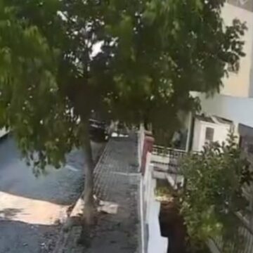 Sokakta yatan köpeği ezdi yoluna devam etti