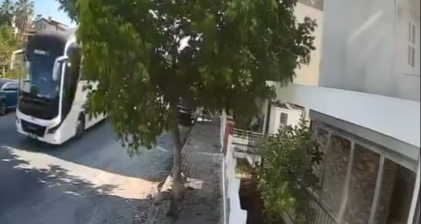 Sokakta yatan köpeği ezdi yoluna devam etti
