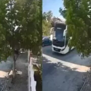 Sokakta yatan köpeği ezip yoluna devam etti!