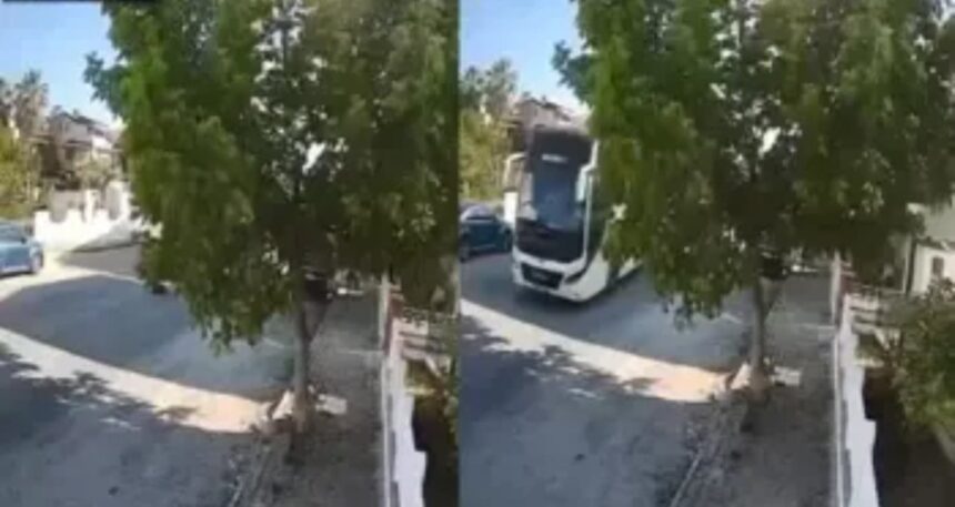 Sokakta yatan köpeği ezip yoluna devam etti!