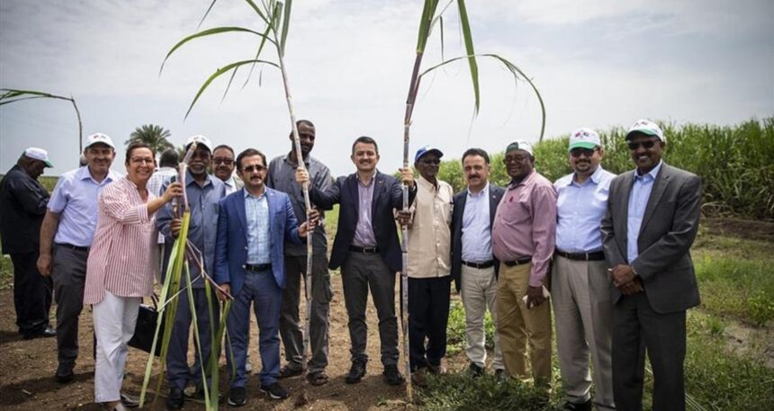 Sudan macerasına 276 milyon gitti