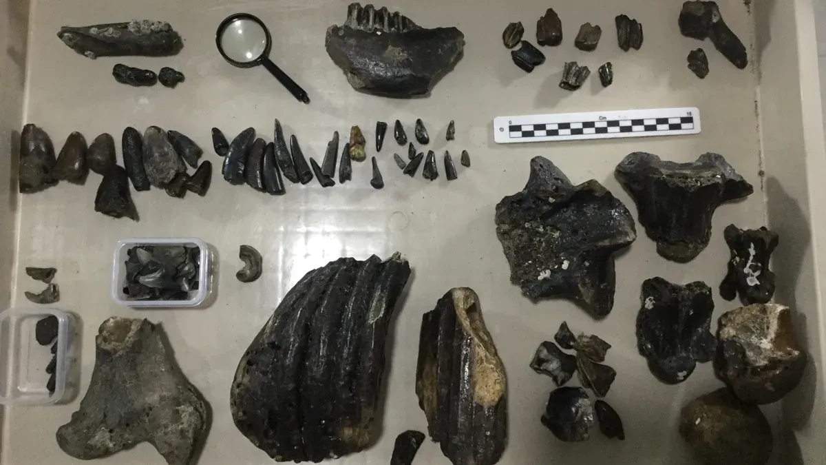 Sular altında kalan toprakta bulunan 140 bin yıllık insanlık tarihini yeniden yazıyor