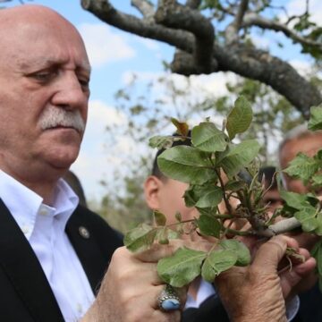 TZOB Genel Başkanı, zirai dondan etkilenen meyve bahçelerini inceledi