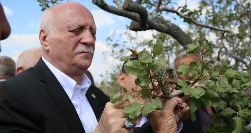 TZOB Genel Başkanı, zirai dondan etkilenen meyve bahçelerini inceledi
