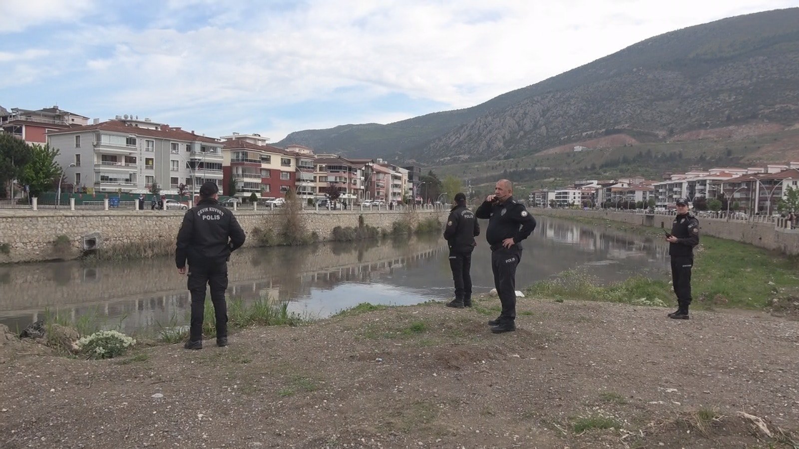 Yeşilırmak Nehri'nde toplu balık ölümleri