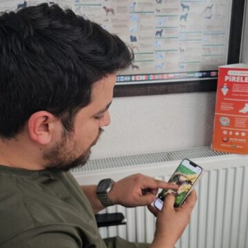 Zonguldak’ta skandal! 2 kedinin iç organları çıkarılmış şekilde bulundu
