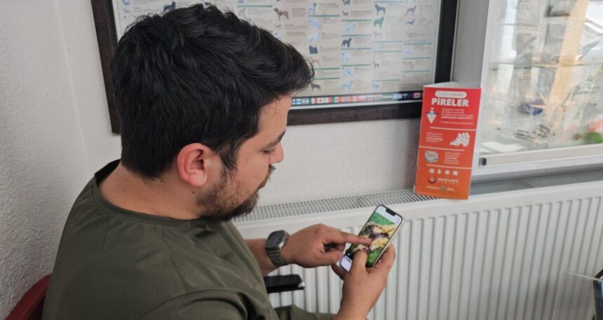 Zonguldak’ta skandal! 2 kedinin iç organları çıkarılmış şekilde bulundu
