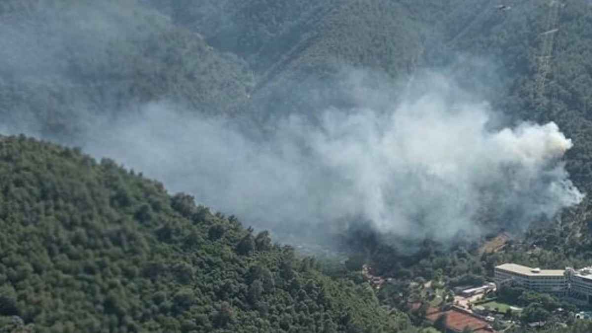 7 ilde orman yangını: Havadan ve karadan müdahale sürüyor