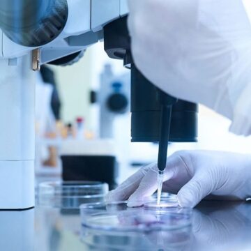 AB’den sert uyarı: ’70 üvey kardeş kabul edilemez’