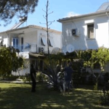 Antalya Serik’te Agave ağacı bulundu