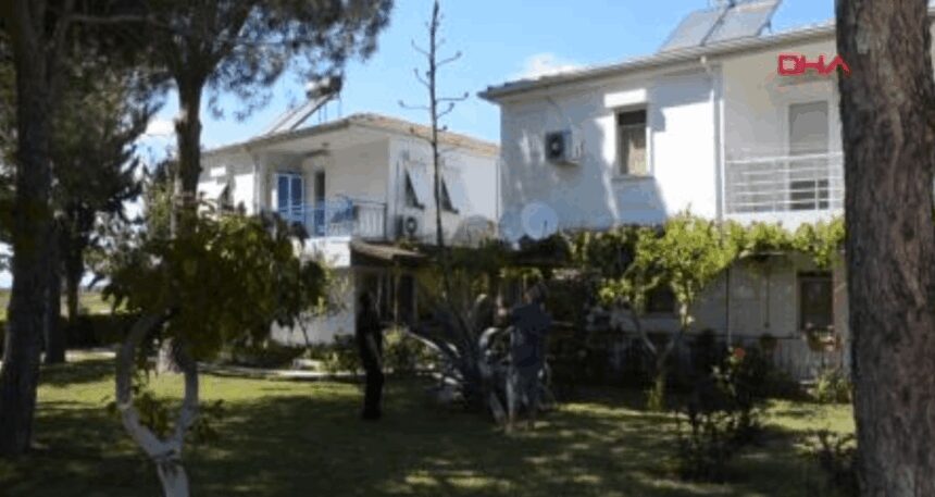 Antalya Serik’te Agave ağacı bulundu