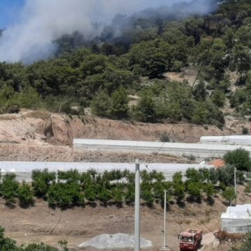 Antalya’da orman yangını! Müdahale devam ediyor