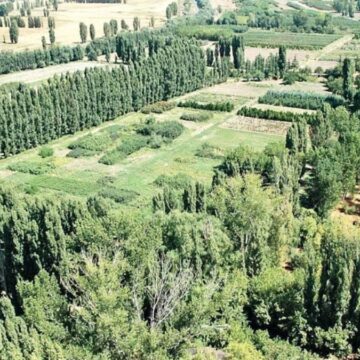 AOÇ’de Talan: Metresi 1 TL’ye arazi kiralandı