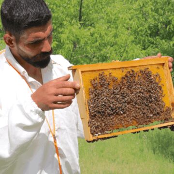 Arıcılığa başlayan engelli girişimci, siparişlere yetişmekte zorlanıyor