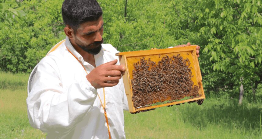 Arıcılığa başlayan engelli girişimci, siparişlere yetişmekte zorlanıyor
