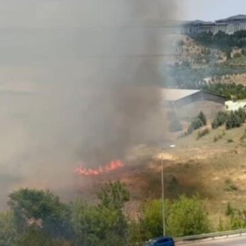 Atatürk Orman Çiftliği’nde yangın paniği