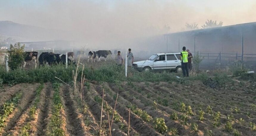Aydın’da bir çiftlikte yangın çıktı