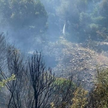 Aydın’da çıkan orman yangını 2 saatte kontrol altına alındı